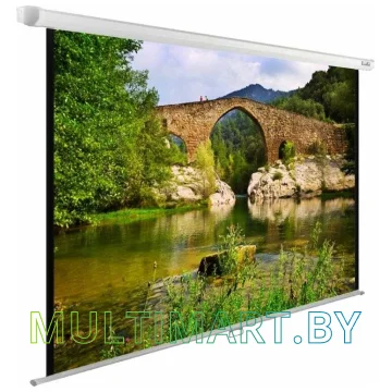 Проекционный экран CACTUS WallExpert 220x165 (CS-PSWE-220x165-WT)